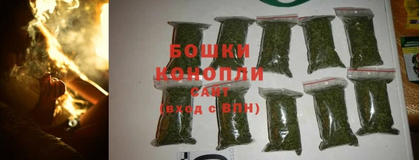 гидра Мегион