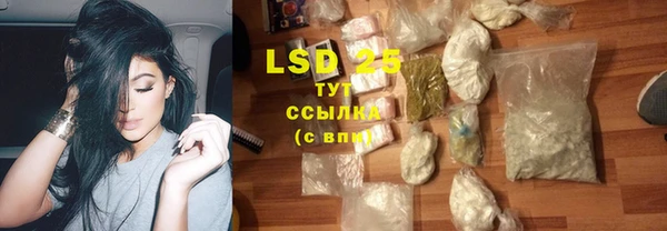 гидра Мегион