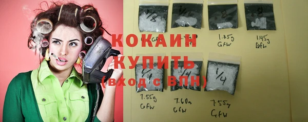 гидра Мегион