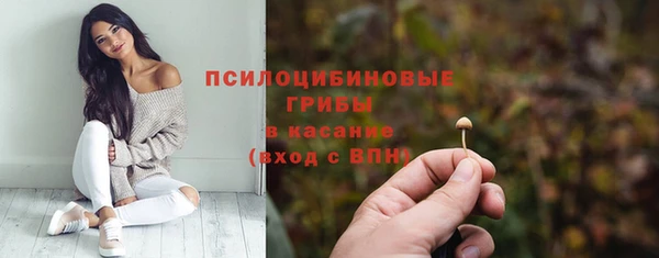 гидра Мегион