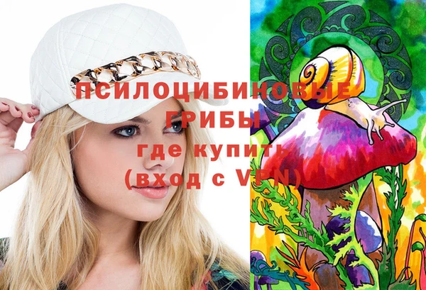 молекула духа Медвежьегорск