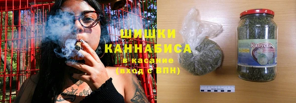 гидра Мегион