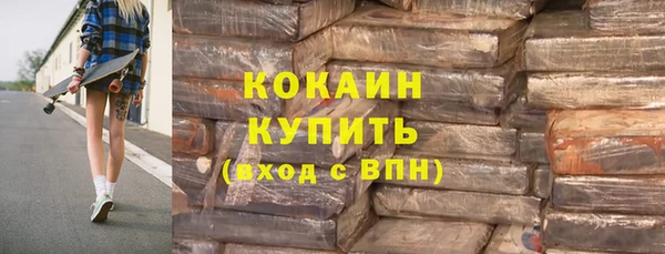 молекула духа Медвежьегорск