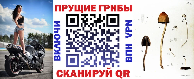 Галлюциногенные грибы мухоморы  Томилино 