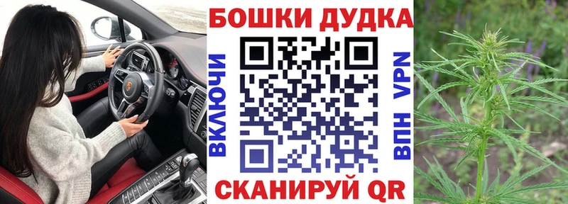 Шишки марихуана семена как найти наркотики Томилино